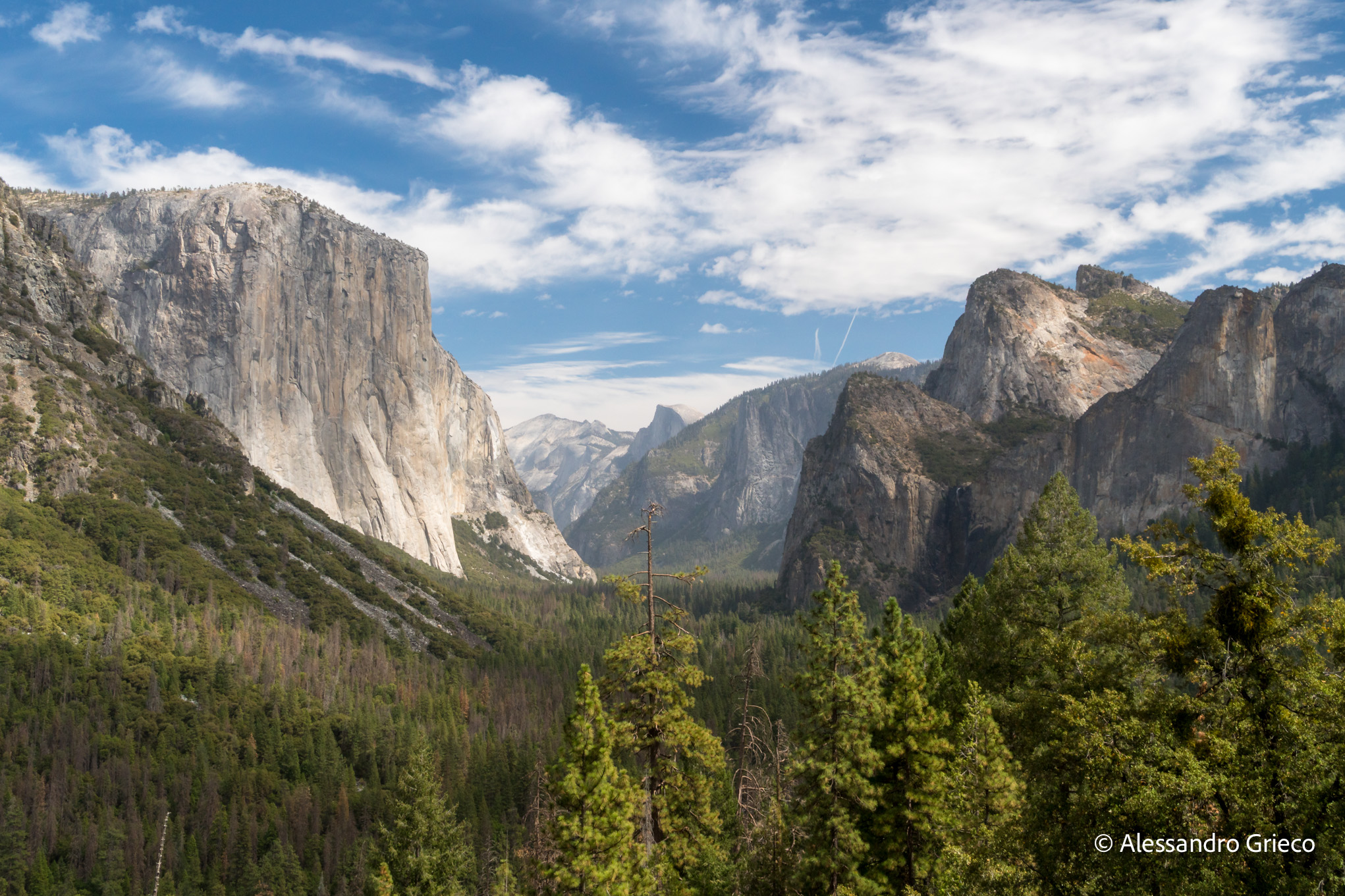 The green half of America — 37°N 119°W · Sierra Nevada & Pacific Coast, USA