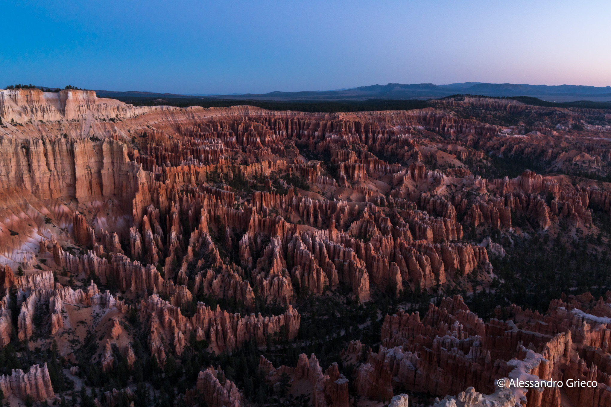 The amphitheatre at Bryce Canyon, hoodoos crowded to the horizon