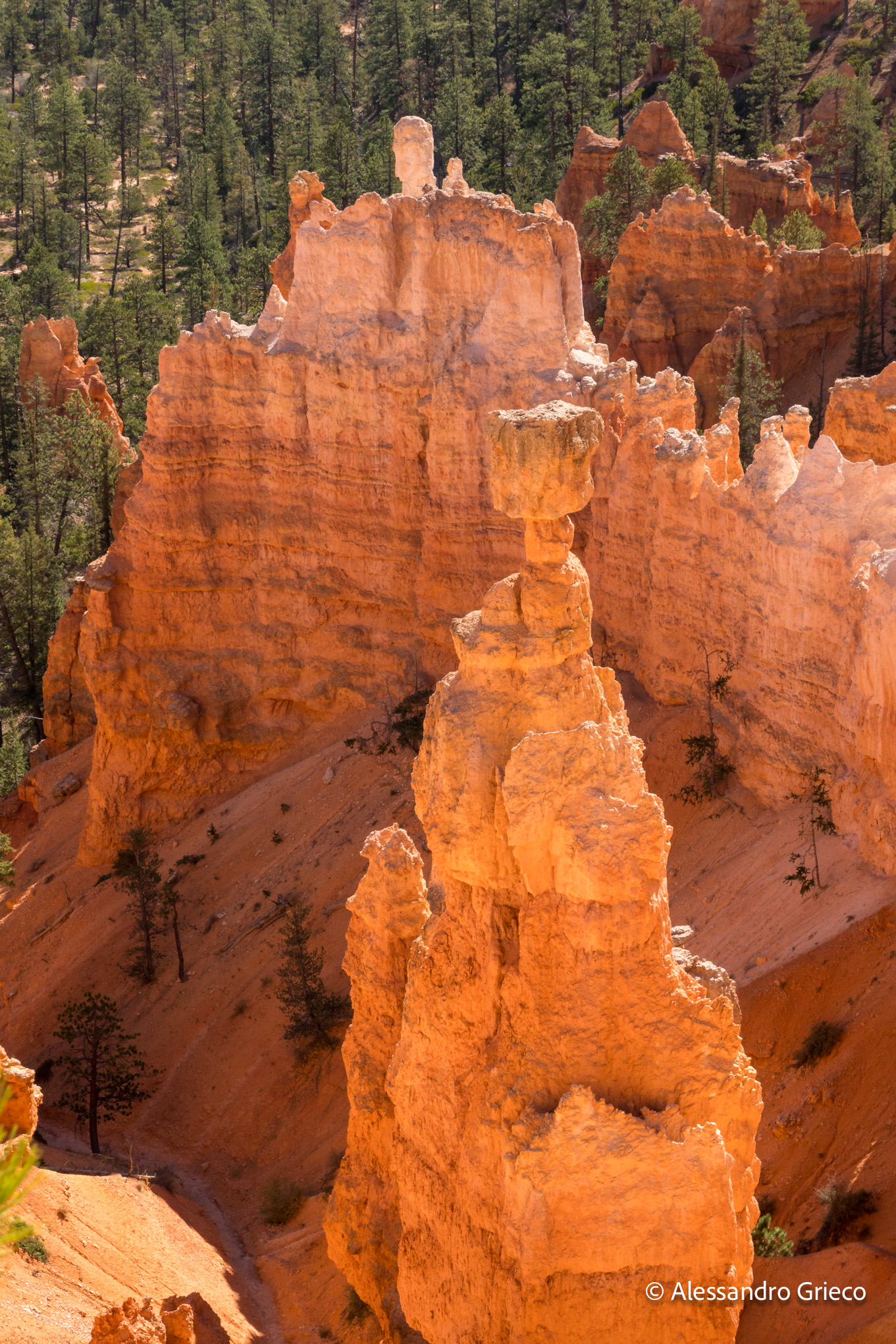 A single hoodoo, capped by a balanced pillar of harder rock