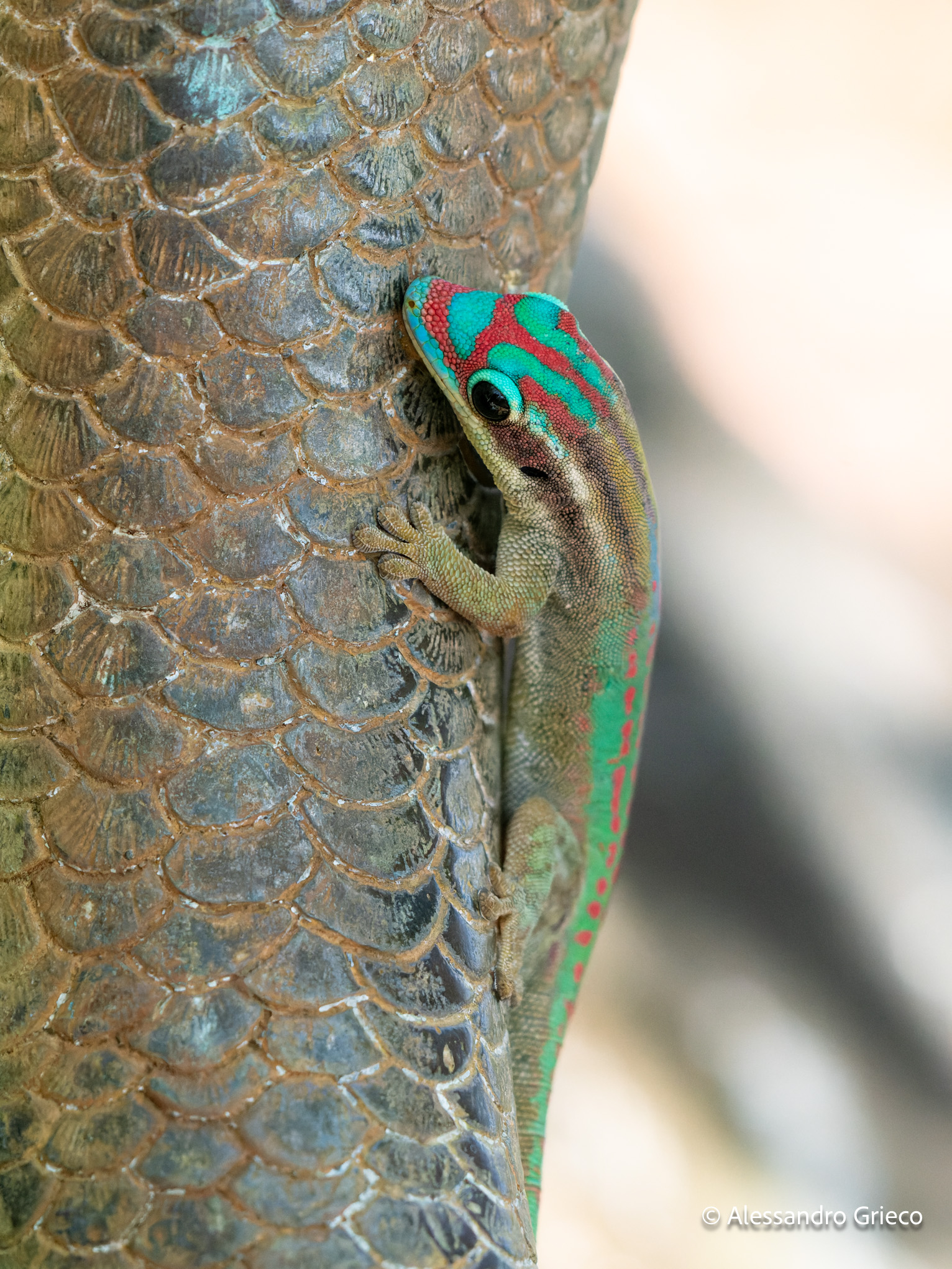 The green jewel — 20°S 57°E · Mauritius, Indian Ocean