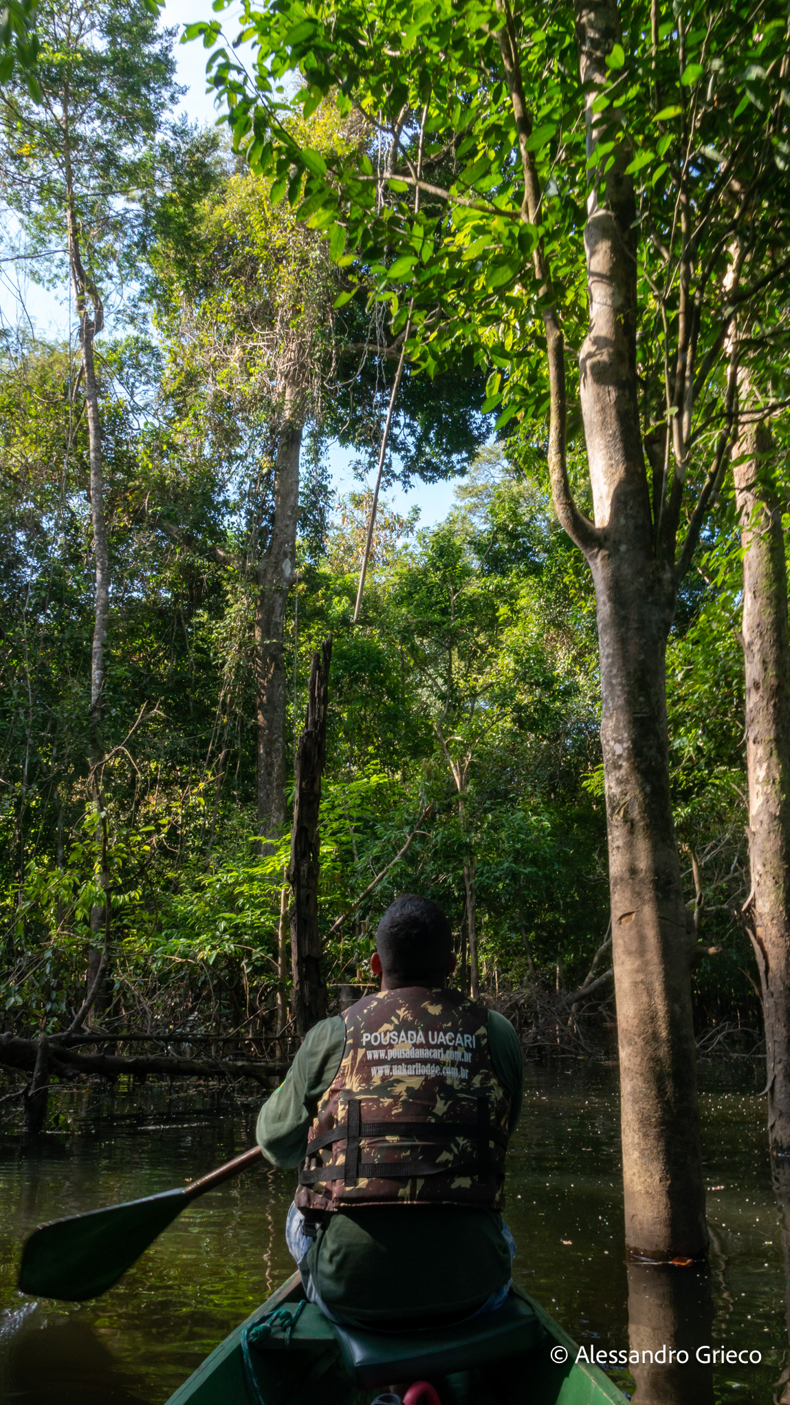 Mamirauá · canoeing into the flooded forest with a local guide from the Uakari Lodge