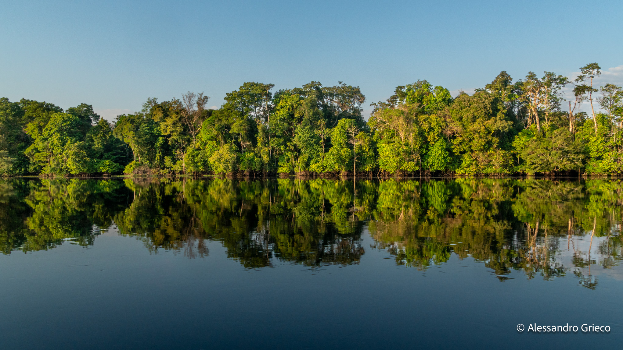 The flooded forest — 3°S 65°W · Mamirauá, Amazon, Brazil